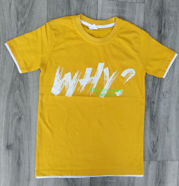 Футболка TRG Kids "Why",жёлтый,мальчик 9-11-13-15 лет