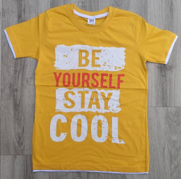 Футболка Wenge "Be Yourself Stay Cool", жёлтый, мальчик 9-11-13-14 лет