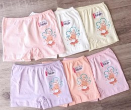 Труси «Dream Big» мікс кольорів, дівчинка 4-5 роки