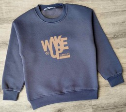 Реглан CMK Kids "Wake up" сірий(графітовий), хлопчик 3-5-7-9-11 років