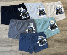 Труси ADN «Road» мікс кольорів, хлопчик 2-3 роки