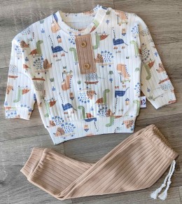 Костюм Anilco "Dino" коричневий, хлопчик 3-6-9 місяців