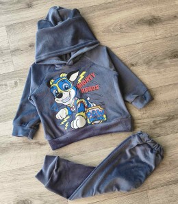 Костюм «Paw» сірий(графітовий), хлопчик 9-18міс-3-5 років
