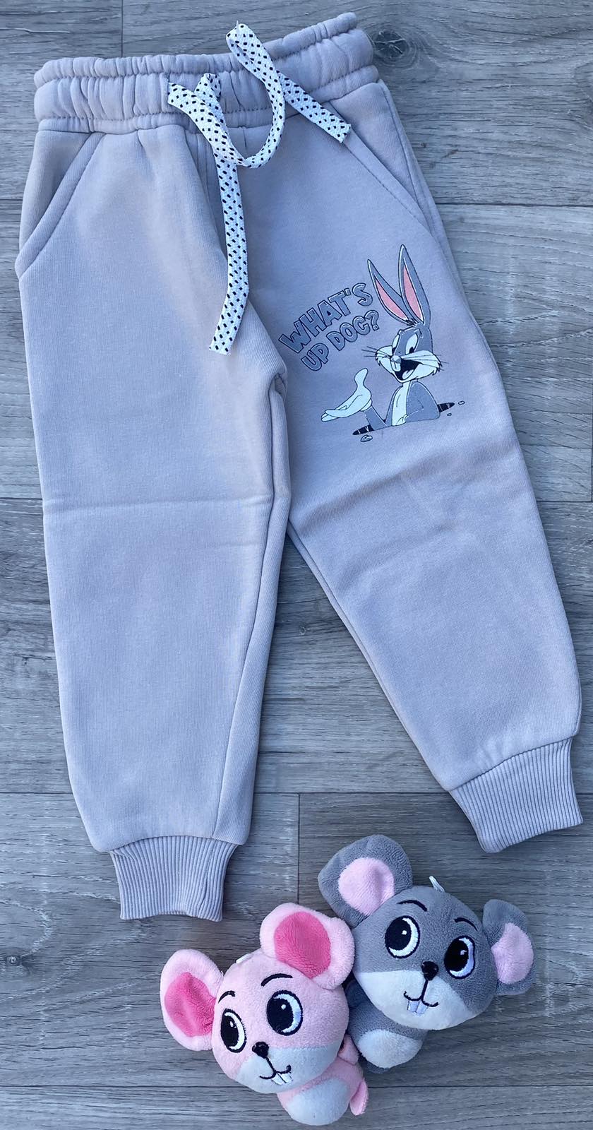 Спортивні штани Partner "What's up Dog?" сірі, хлопчик, 1234 роки